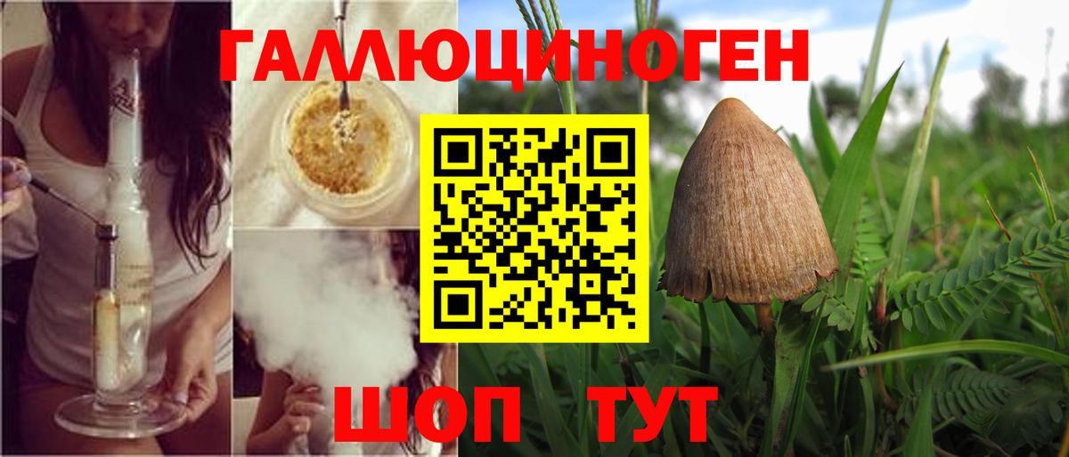 Кизляр  наркошоп  Вход с VPN  Псилоцибиновые грибы прущие грибы 